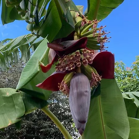 Quinta Da Sobreira Salir de Matos