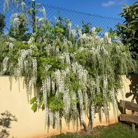 Quinta Da Sobreira לינה וארוחת בוקר Salir de Matos