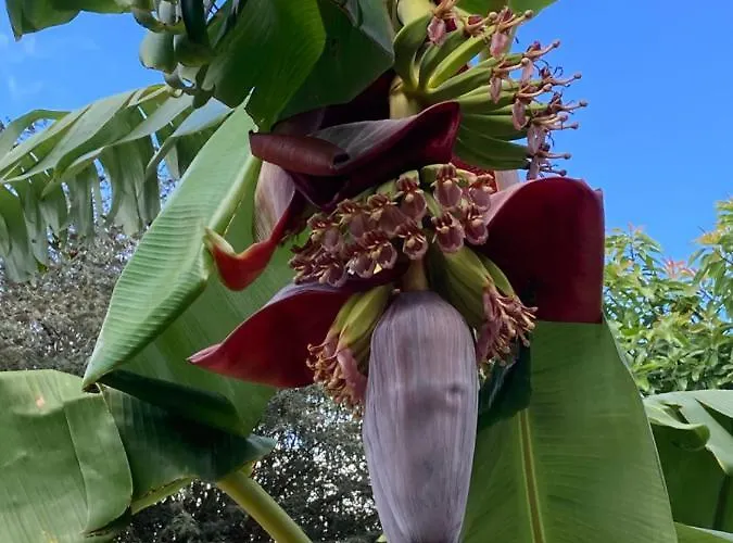 Quinta Da Sobreira Salir de Matos